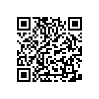 衛(wèi)生間老人扶手裝配-藍品盾