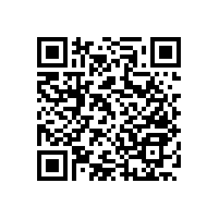 衛(wèi)生間老人馬桶扶手-使用便捷【藍品盾】