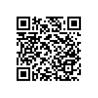 衛(wèi)生間老人用扶手架的作用【藍品盾】