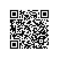 衛(wèi)生間馬桶安全扶手-敢不敢曬曬你家衛(wèi)生間？【藍(lán)品盾】