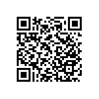 衛(wèi)生間馬桶安全扶手“實(shí)用省空間”【藍(lán)品盾】