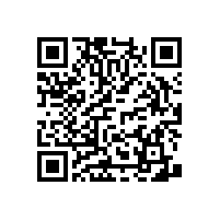 衛(wèi)生間馬桶扶手-不生銹/不褪色【藍品盾】