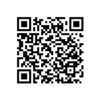 衛(wèi)生間馬桶扶手輕松解決易滑問題！【藍(lán)品盾】