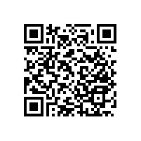 衛(wèi)生間馬桶旁邊的扶手怎么安裝？【藍(lán)品盾】