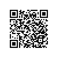 衛(wèi)生間墻上扶手拉桿-款式尺寸可定制【藍品盾】