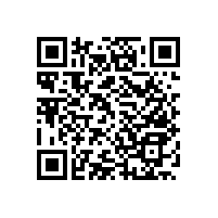 衛(wèi)生間上翻式扶手廠家直銷免費(fèi)取樣【藍(lán)品盾】