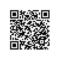 衛(wèi)生間臺盆加殘疾人扶手防滑好幫手【藍(lán)品盾】