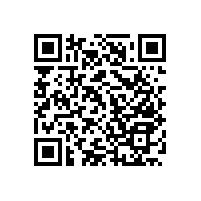 衛(wèi)生間無障礙輔助扶手還能有這樣的款式？【藍(lán)品盾】