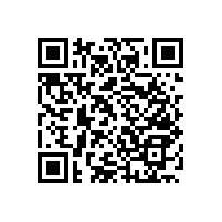 衛(wèi)生間浴室扶手安裝形狀知道多少？