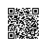 衛(wèi)生間浴室扶手有什么用？【藍(lán)品盾】