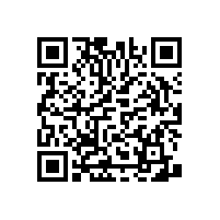 衛(wèi)生間浴室扶手有些什么款式？【藍品盾】