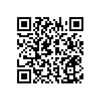 衛(wèi)生間一字扶手簡(jiǎn)約實(shí)用【藍(lán)品盾】