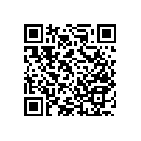 衛(wèi)生間坐便安全扶手的流行款式有幾種【藍(lán)品盾】