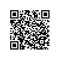 衛(wèi)生間坐便扶手