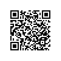 衛(wèi)生間折疊扶手掛墻式設(shè)計(jì)不占空間【藍(lán)品盾】