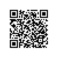 衛(wèi)生間專(zhuān)用衛(wèi)浴折疊扶手-上翻更方便【藍(lán)品盾】