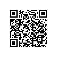 【溫文儒雅】衛(wèi)生間扶手木制