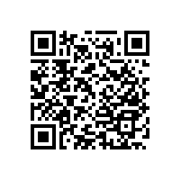 衛(wèi)浴扶手【藍(lán)品盾】多年生產(chǎn)廠家直銷