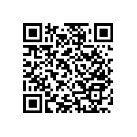 無障礙殘疾人衛(wèi)生間扶手干凈耐看【藍(lán)品盾】