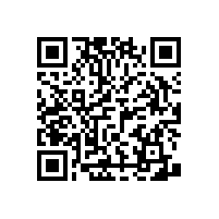 無障礙多功能組合扶手，實用貼心【藍品盾】