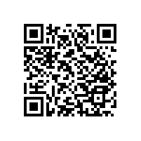 無障礙扶手的作用-挑選扶手的時候一定要注意了【藍品盾】