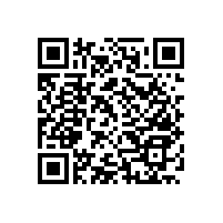 無障礙扶手-可調(diào)節(jié)扶手，隨心適配【藍(lán)品盾】