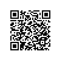 無障礙扶手/尼龍扶手的生產(chǎn)廠家--藍品盾