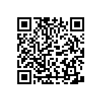 無障礙扶手生產(chǎn)廠家【藍(lán)品盾】