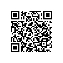 無障礙扶手實(shí)力廠家【藍(lán)品盾】廠價直銷 款式百種