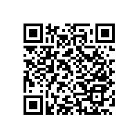 無障礙扶手是行動不便人群的“美好的禮物”