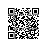 無障礙扶手/有多少特點(diǎn)？【藍(lán)品盾】