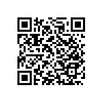 無障礙輔助實(shí)木扶手的諸多功能【藍(lán)品盾】