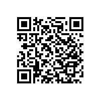 無障礙輔助實木扶手-藍品盾大自然風(fēng)格