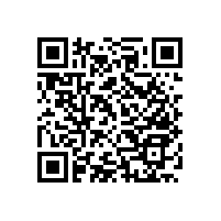 無障礙輔助實木扶手實用多功能款【藍(lán)品盾】