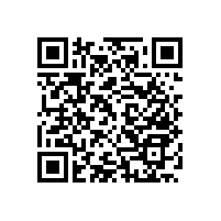 無障礙馬桶扶手便捷省空間【藍(lán)品盾】