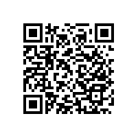 無(wú)障礙馬桶扶手多少錢