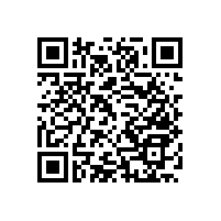 無障礙通道扶手6000家客戶選擇【藍(lán)品盾】