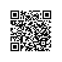 無障礙衛(wèi)生間不銹鋼扶手抗菌不易生銹【藍品盾】