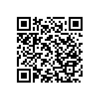 無障礙衛(wèi)生間防滑扶手月月上新品【藍品盾】