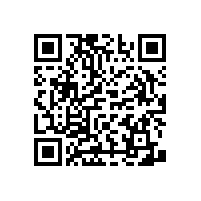 無(wú)障礙衛(wèi)生間扶手的尺寸和款式【藍(lán)品盾】