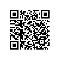 無障礙衛(wèi)生間扶手為伴讓殘疾人安全無憂【藍(lán)品盾】