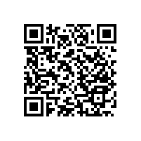 無障礙衛(wèi)生間扶手新穎款式，藍品盾工廠定制