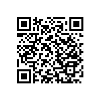 【無障礙】衛(wèi)生間里的扶手工廠