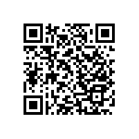 無障礙衛(wèi)生間洗漱池扶手不可忽視【藍品盾】