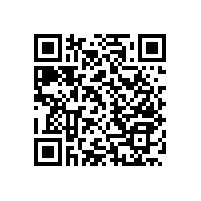 無障礙衛(wèi)生間抓桿扶手具備怎樣的功能？【藍(lán)品盾】