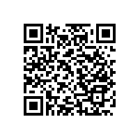 無障礙衛(wèi)浴扶手廠家包售后？【藍品盾】