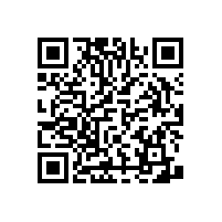 無障礙醫(yī)用扶手研發(fā)出多少款式？【藍(lán)品盾】