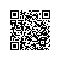 無障礙坐便器不銹鋼扶手【藍品盾】