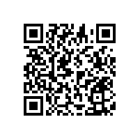 西安市哪個市場買衛(wèi)生間扶手，藍品盾告訴您！