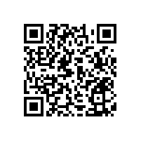 小便器無障礙扶手 這樣搭配更經(jīng)濟(jì)-藍(lán)品盾